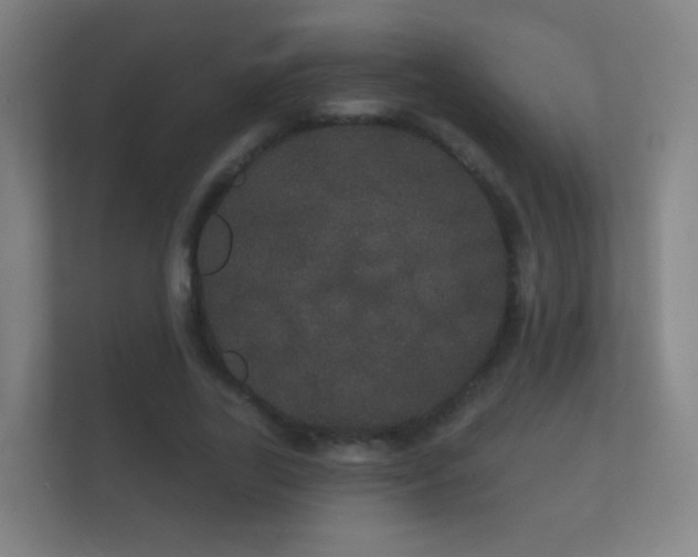 X0000112160731200908141234