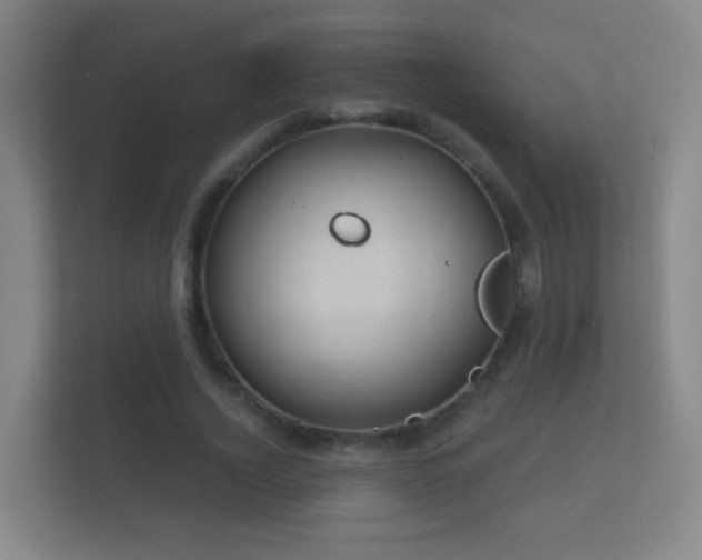 X0000112160732200908141234