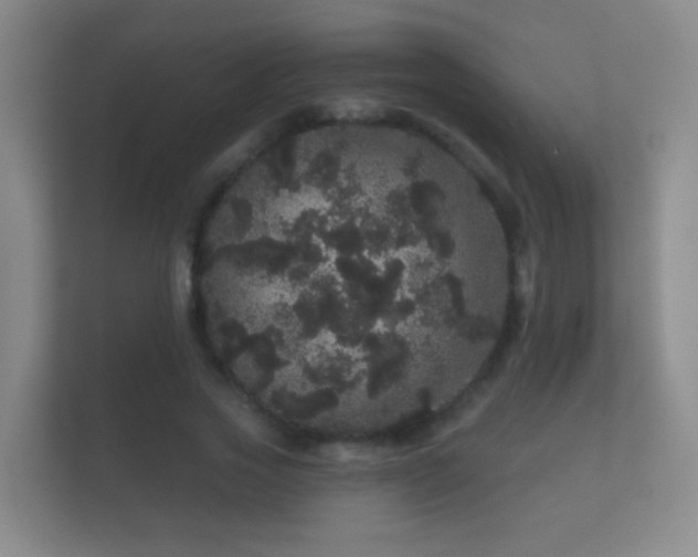 X0000112160733200908141234