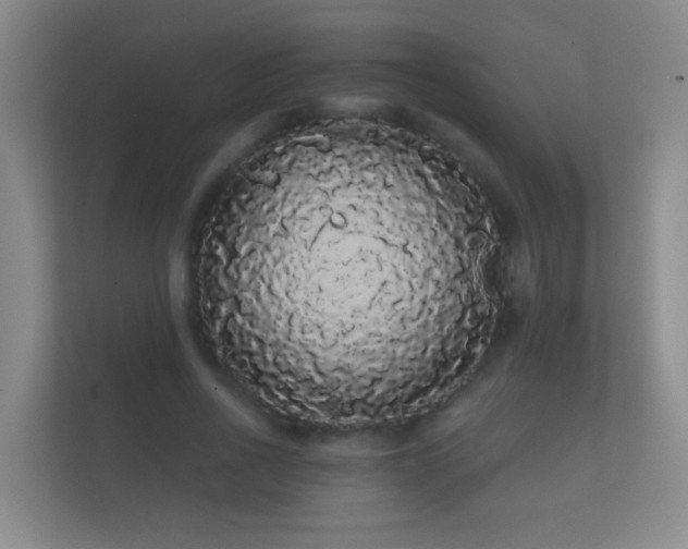 X0000112160734200908141234
