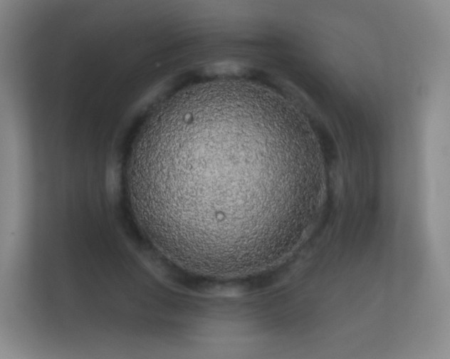 X0000112160735200908141234
