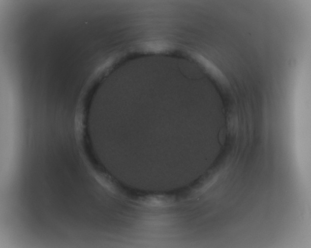 X0000112160736200908141234