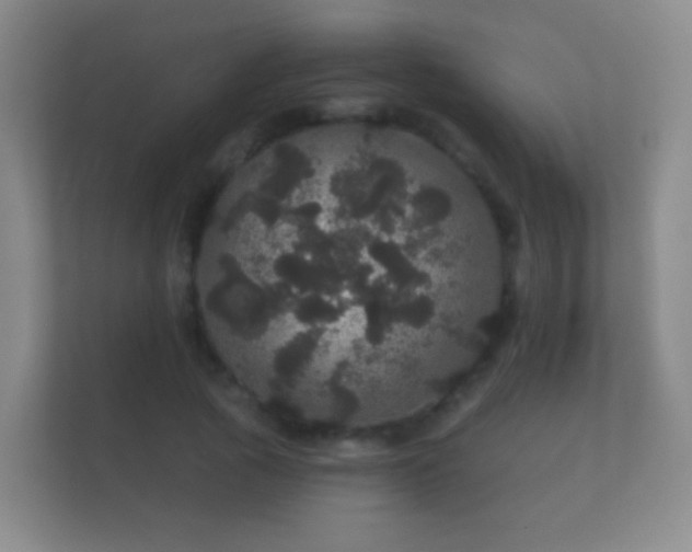 X0000112160737200908141234