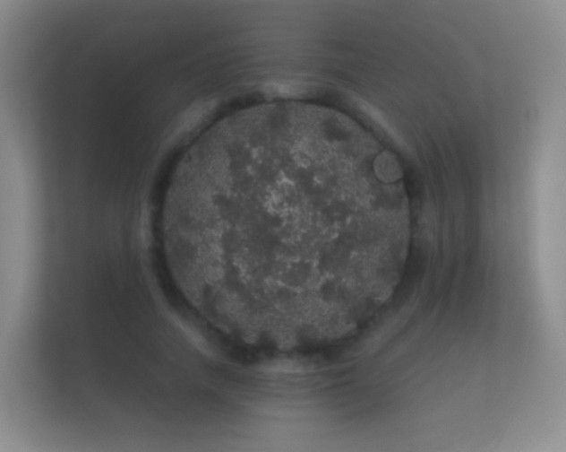 X0000112160738200908141234