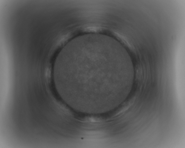 X0000112160739200908141234