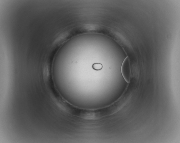 X0000112160740200908141234