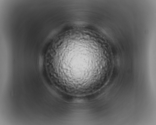 X0000112160742200908141234