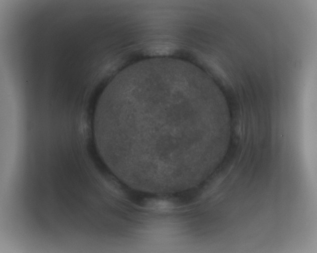 X0000112160743200908141234