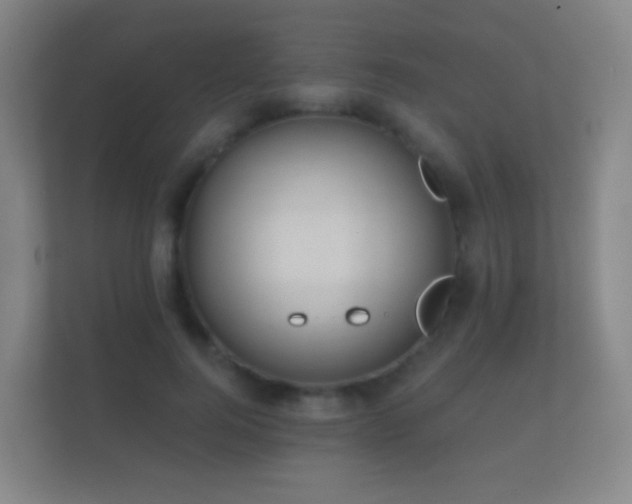 X0000112160744200908141234