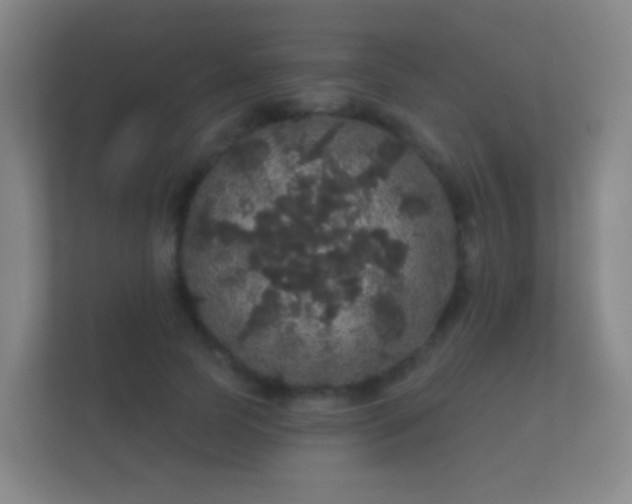 X0000112160745200908141234