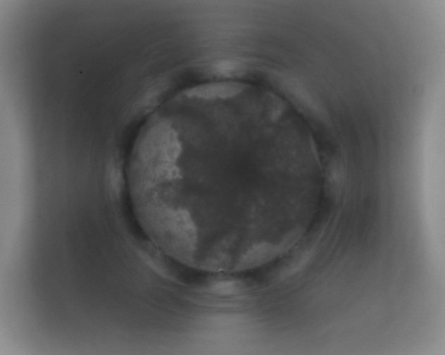 X0000112160746200908141234