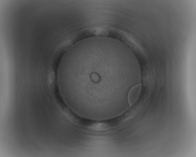 X0000112160748200908141234