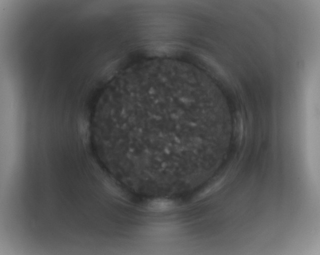 X0000112160749200908141234