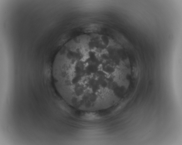 X0000112160753200908141234
