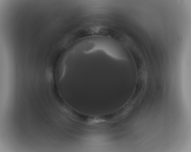 X0000112160754200908141234