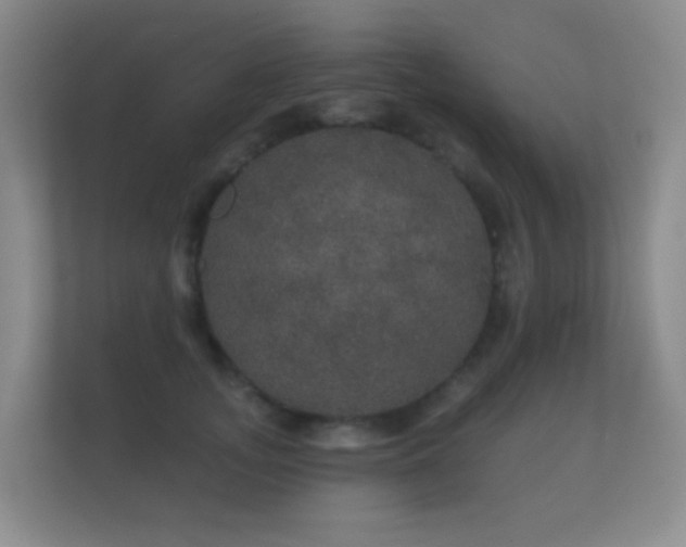 X0000112160755200908141234