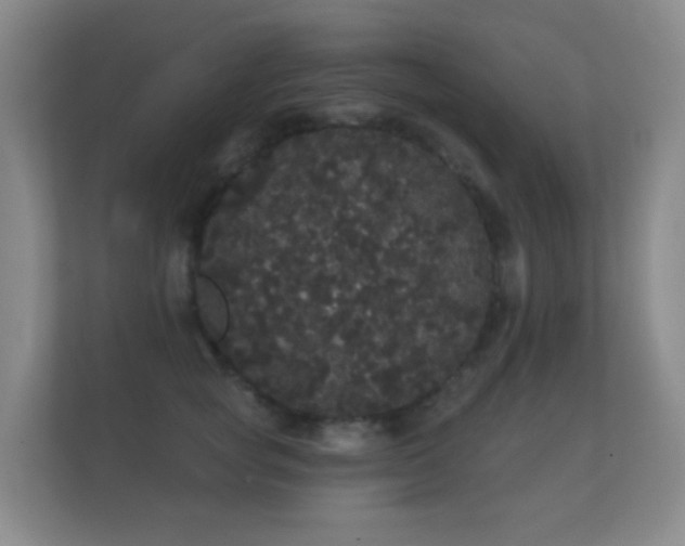 X0000112160757200908141234
