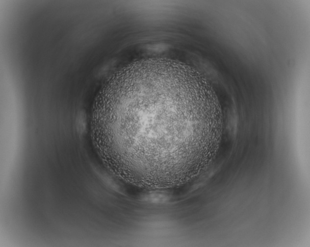 X0000112160758200908141234