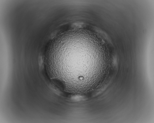 X0000112160759200908141234