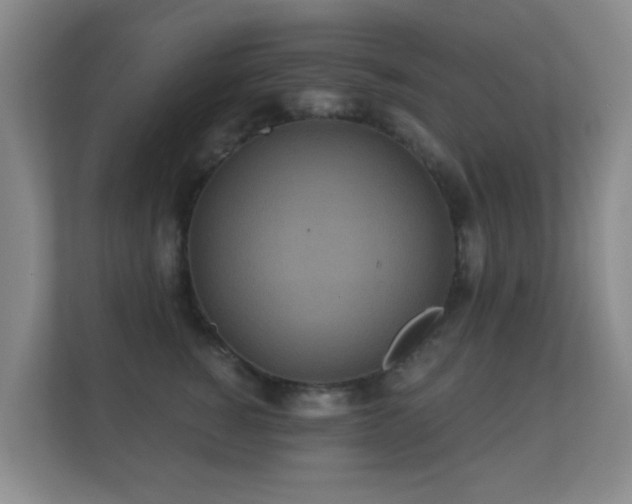 X0000112160760200908141234