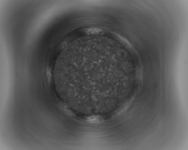 X0000112160761200908141234