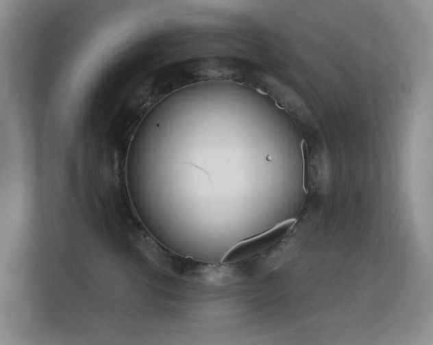 X0000112160762200908141234