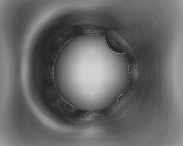 X0000112160764200908141234