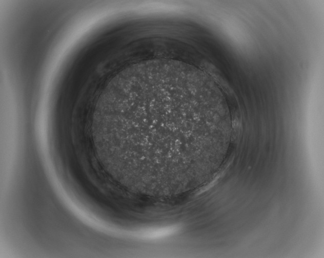 X0000112160765200908141234
