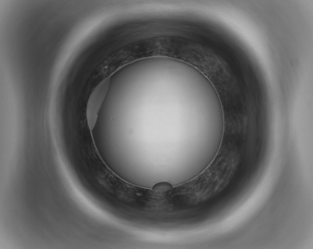 X0000112160766200908141234