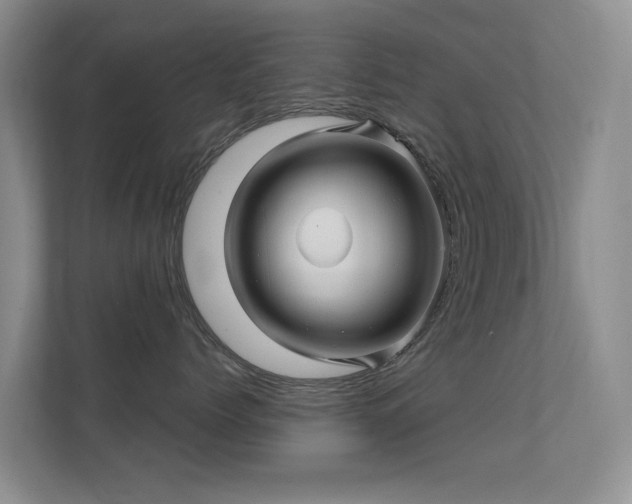 X0000112160768200908141234