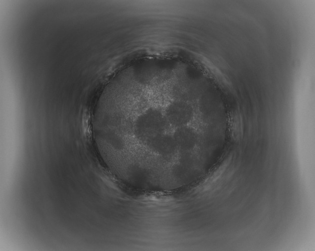 X0000112160770200908141234