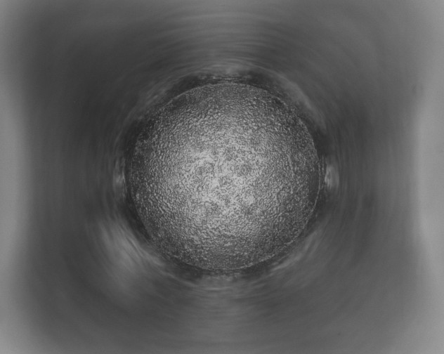X0000112160771200908141234