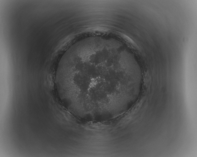 X0000112160774200908141234