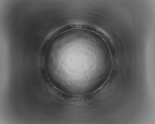 X0000112160775200908141234