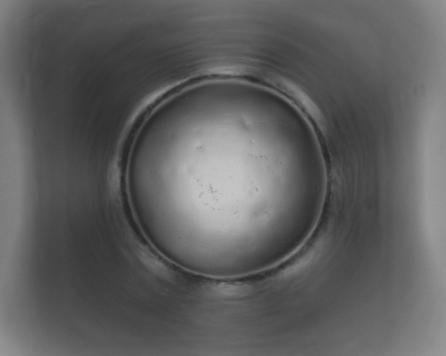 X0000112160779200908141234