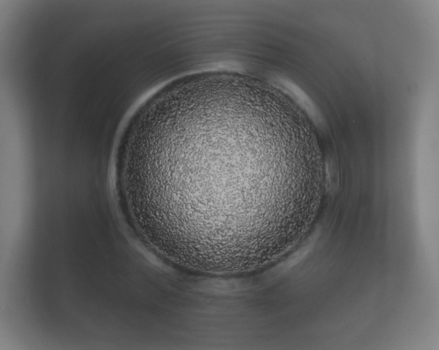 X0000112160780200908141233