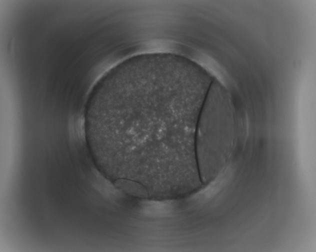 X0000112160781200908141233