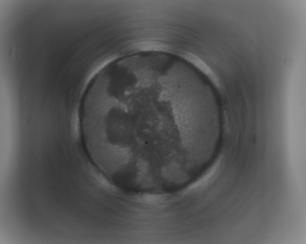 X0000112160782200908141233