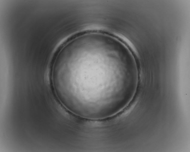 X0000112160783200908141233