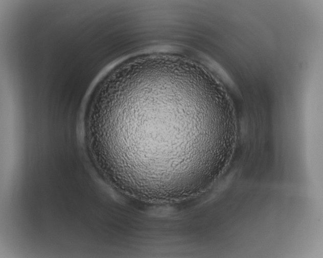X0000112160784200908141233