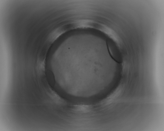 X0000112160785200908141233