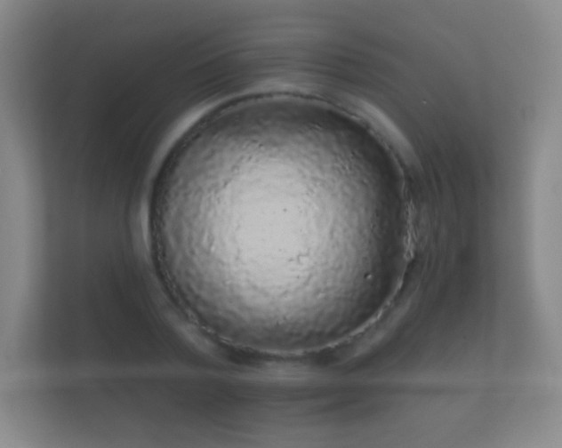 X0000112160788200908141233