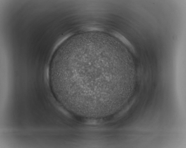 X0000112160790200908141233