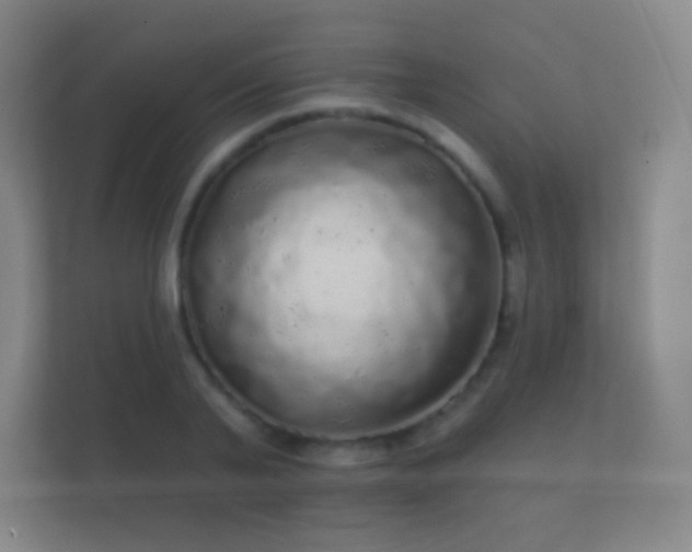 X0000112160791200908141233