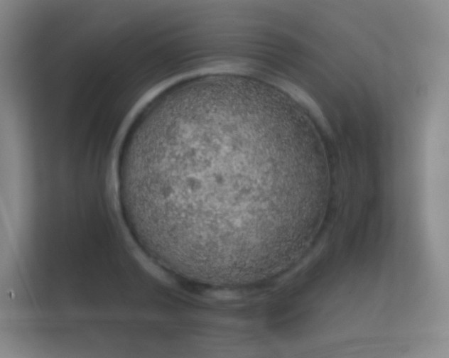 X0000112160792200908141233