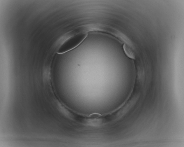 X0000112160793200908141233