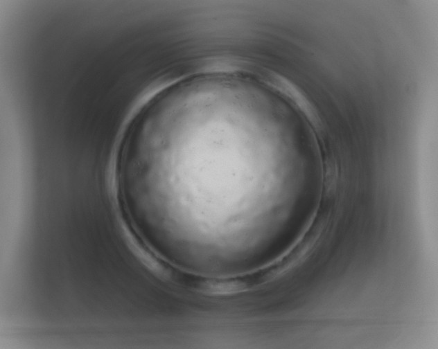 X0000112160795200908141233