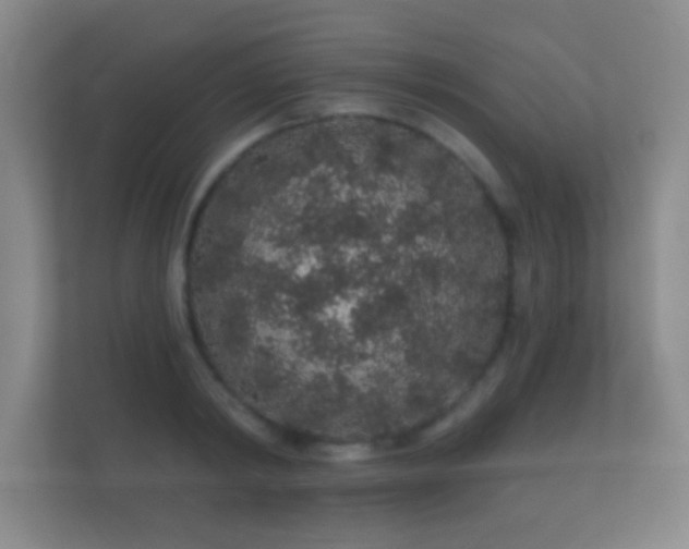 X0000112160798200908141233