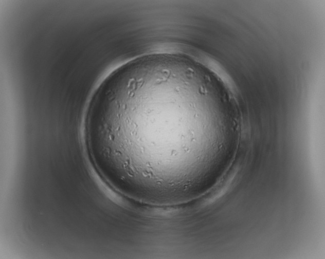 X0000112160803200908141233