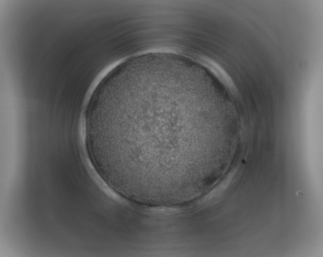 X0000112160804200908141233